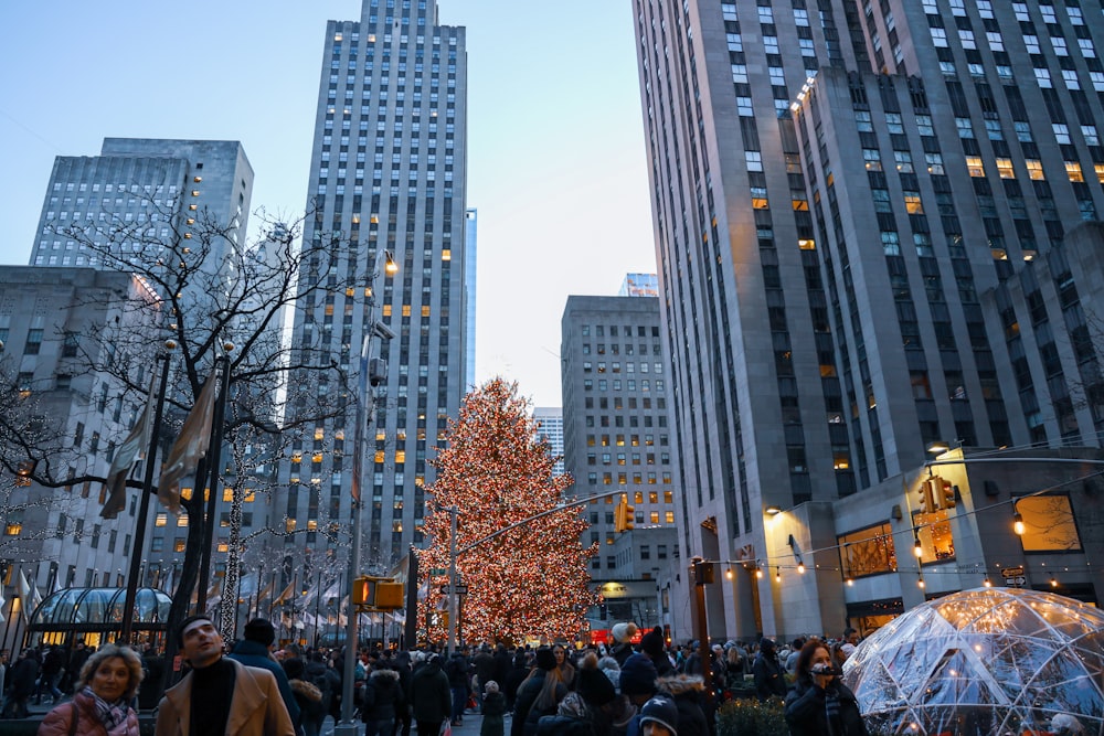 people walking near buildings