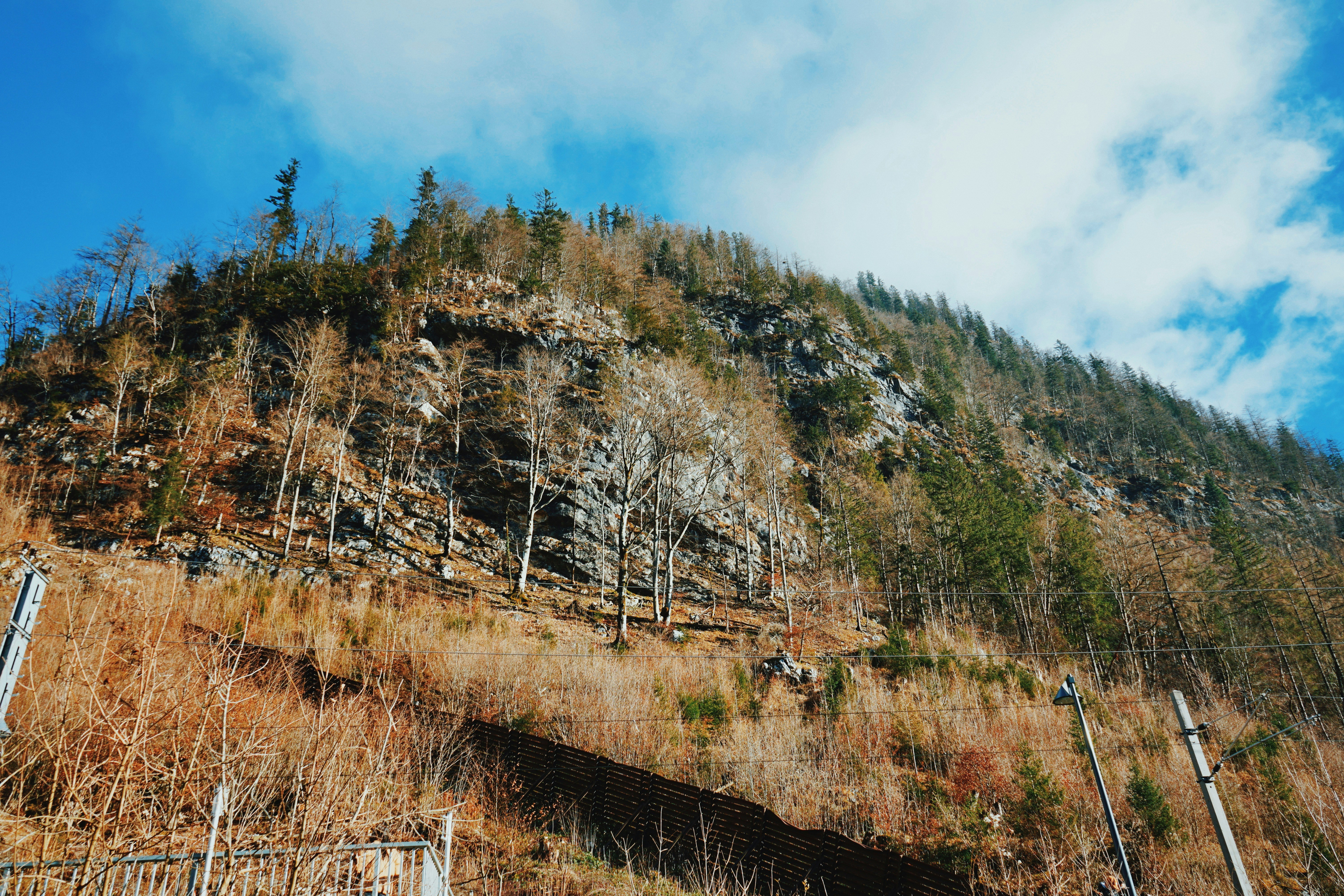 Photo by chinguyenphung