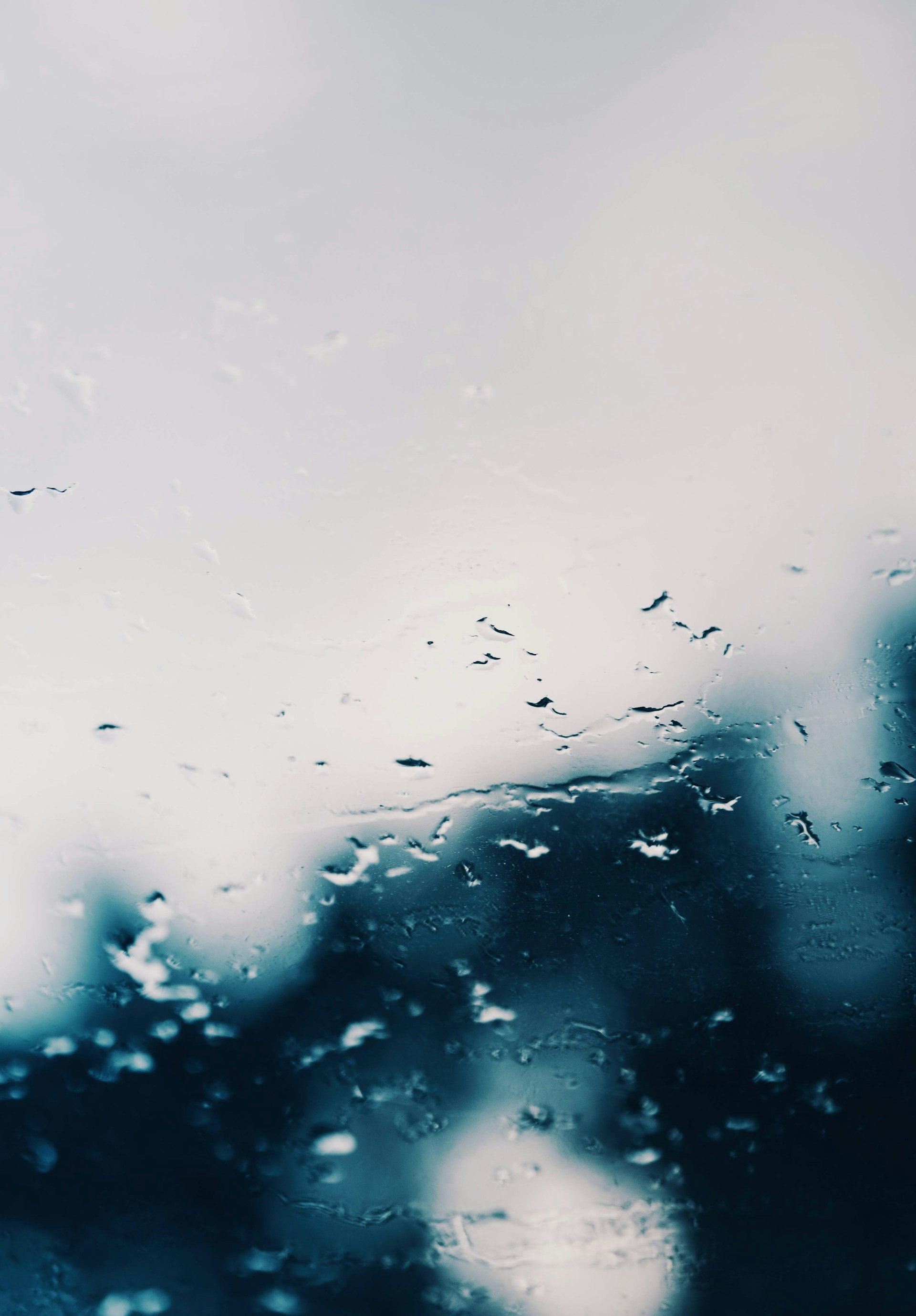 woman holding dried flower