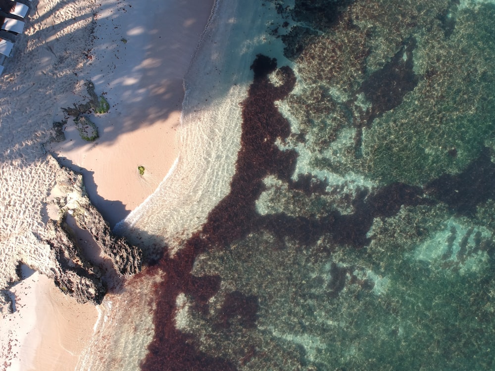 a bird's eye view of a sandy beach