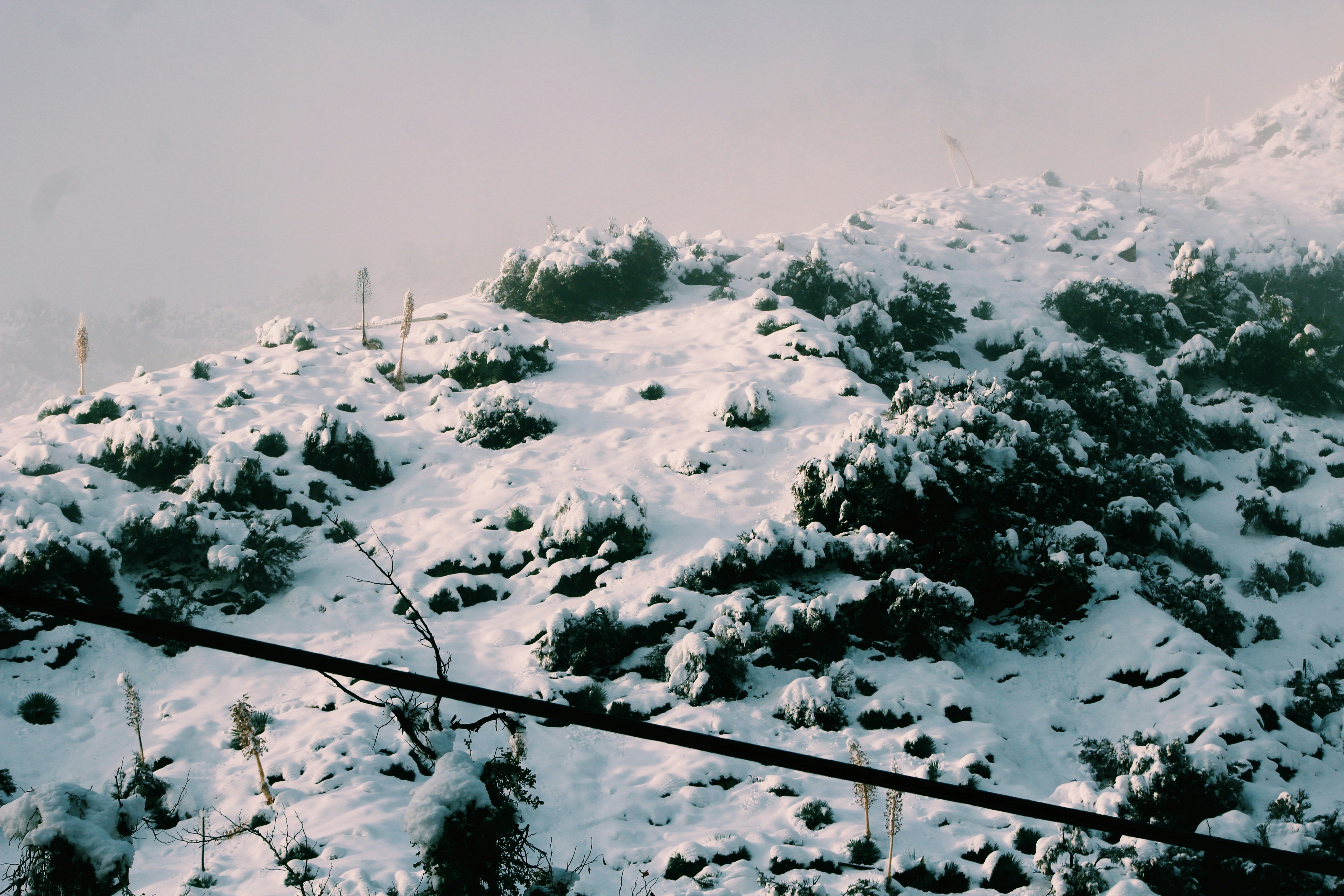 Photo by patterson20