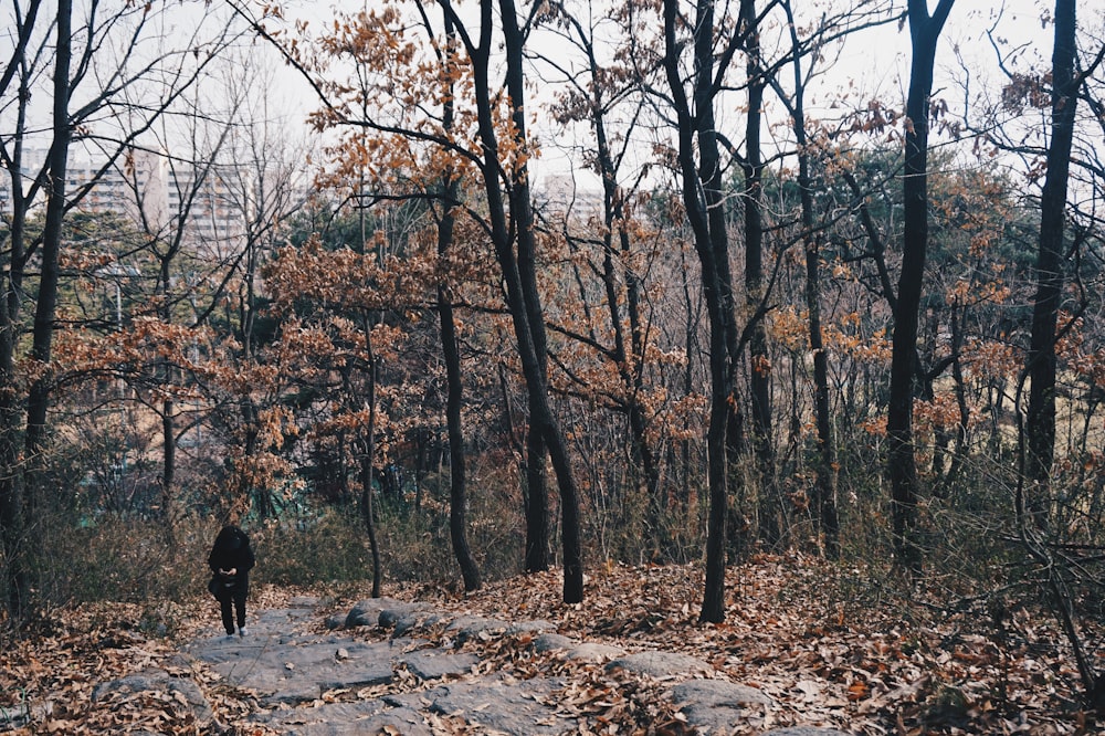 pessoa andando cercada por árvores marrons vendo arranha-céus durante o dia