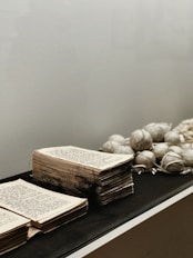 Stack of manuscripts tied with a tan ribbon resting on a black silk cloth.
