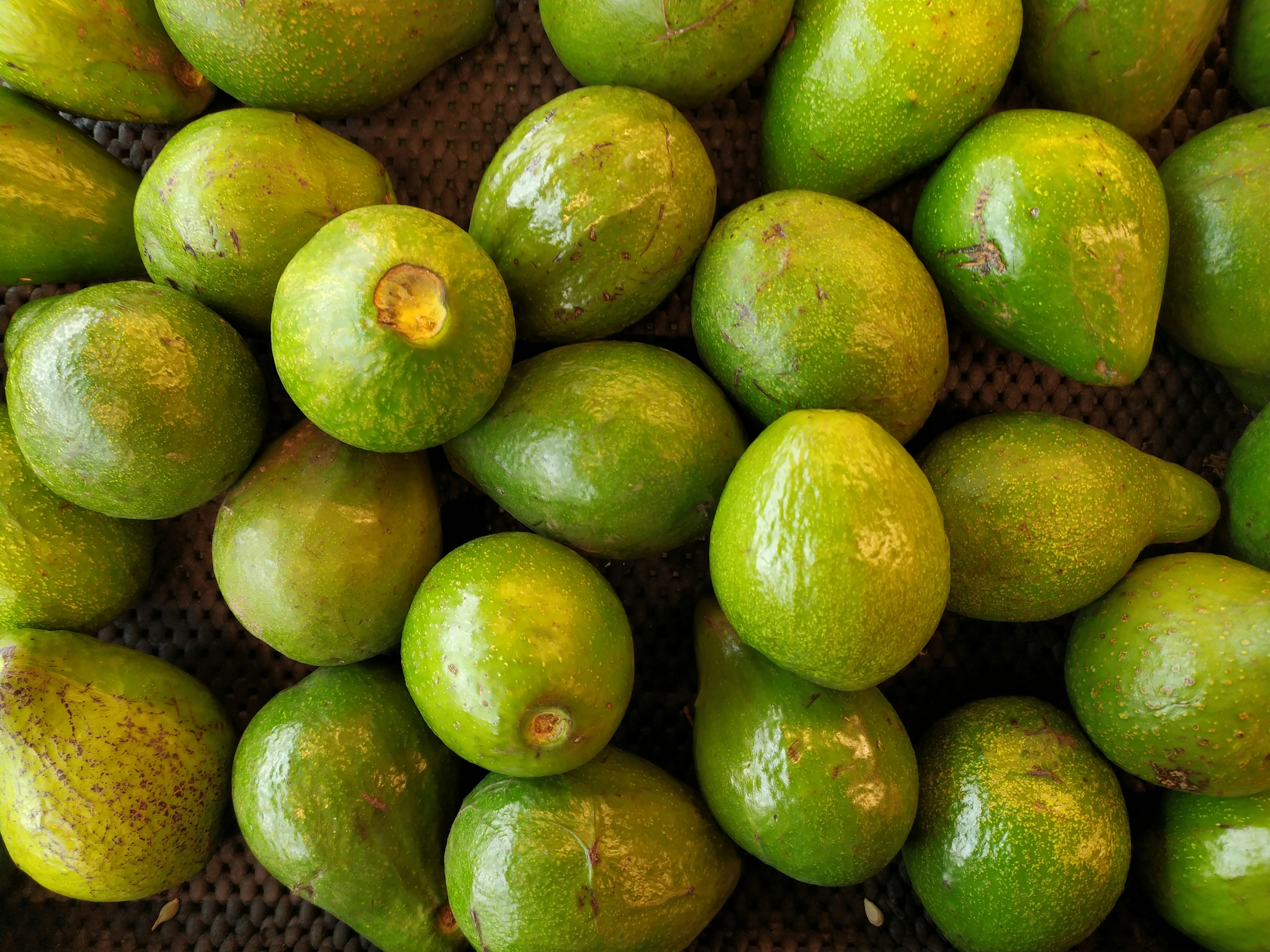 Frutos frescos de Jalacingo