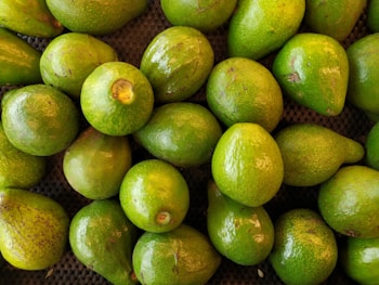 A collection of fresh green avocados arranged closely together on a dark textured surface. The avocados vary slightly in size and shade, with some displaying small brown spots or blemishes on their skin.