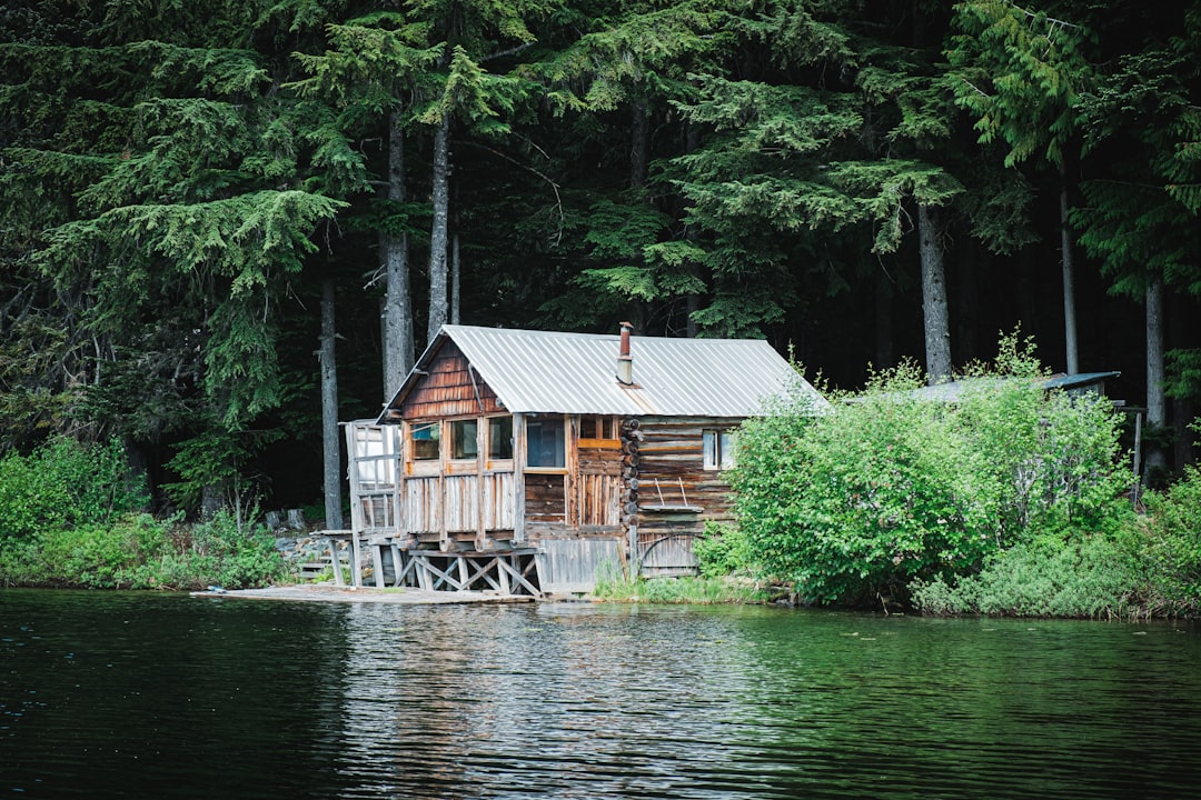 shallow focus photo of cabin near body of water