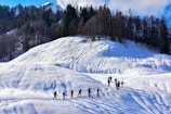 A group of people are trekking through a snowy landscape, casting long shadows on the white surface. The snow-covered hills in the foreground lead up to a forest of evergreen trees under a bright blue sky. The sunlight enhances the textures of the snow and adds depth to the shadows.
