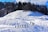 A group of people are trekking through a snowy landscape, casting long shadows on the white surface. The snow-covered hills in the foreground lead up to a forest of evergreen trees under a bright blue sky. The sunlight enhances the textures of the snow and adds depth to the shadows.