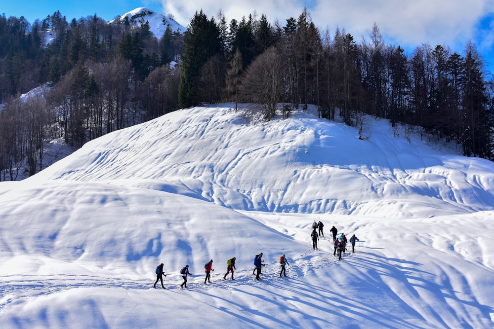 people walking on snow field beside trees