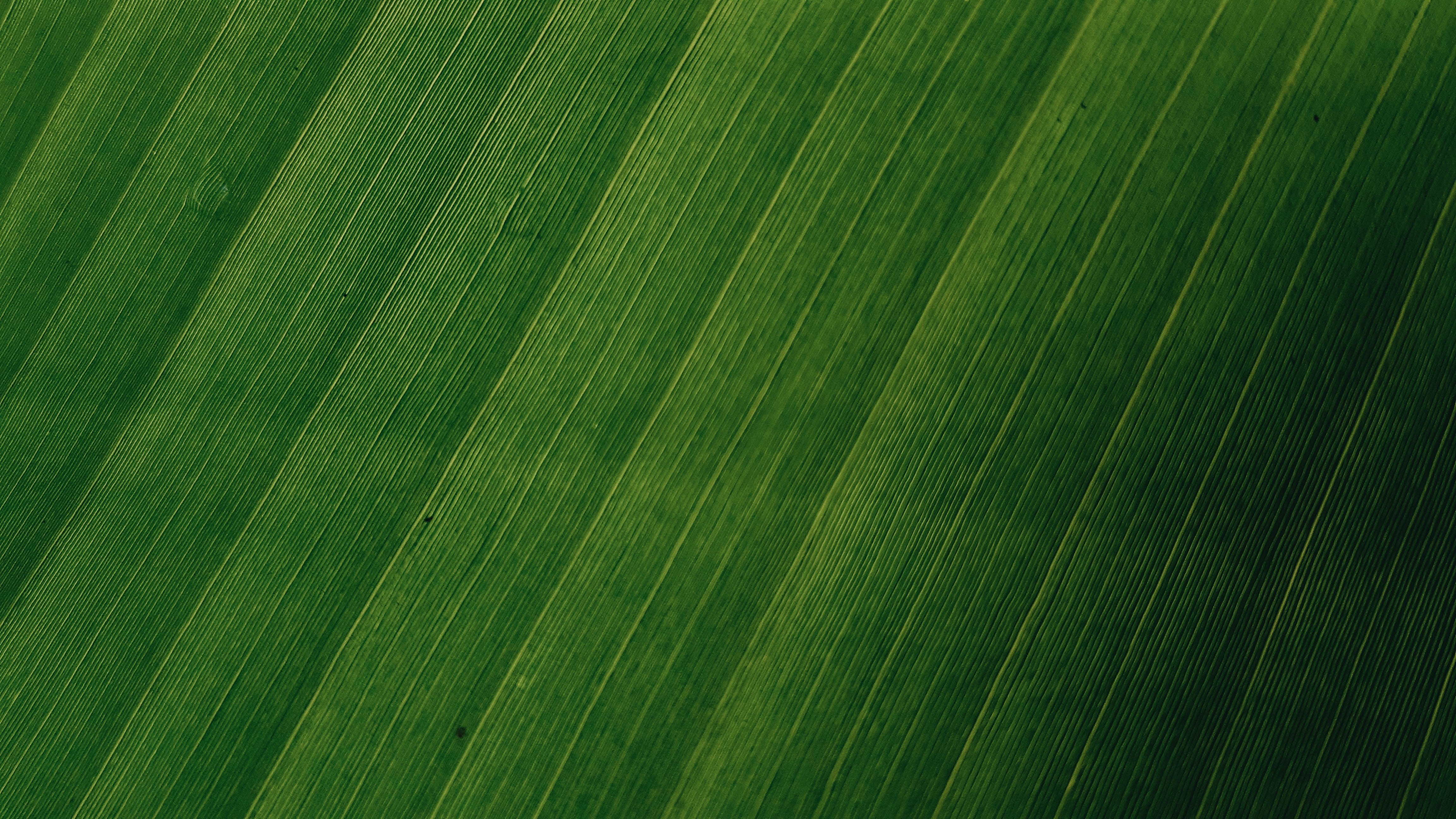 Photo by kiprono_kitur