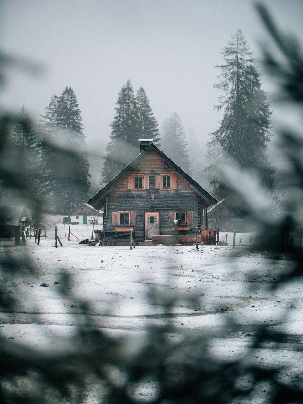 brown cabin house