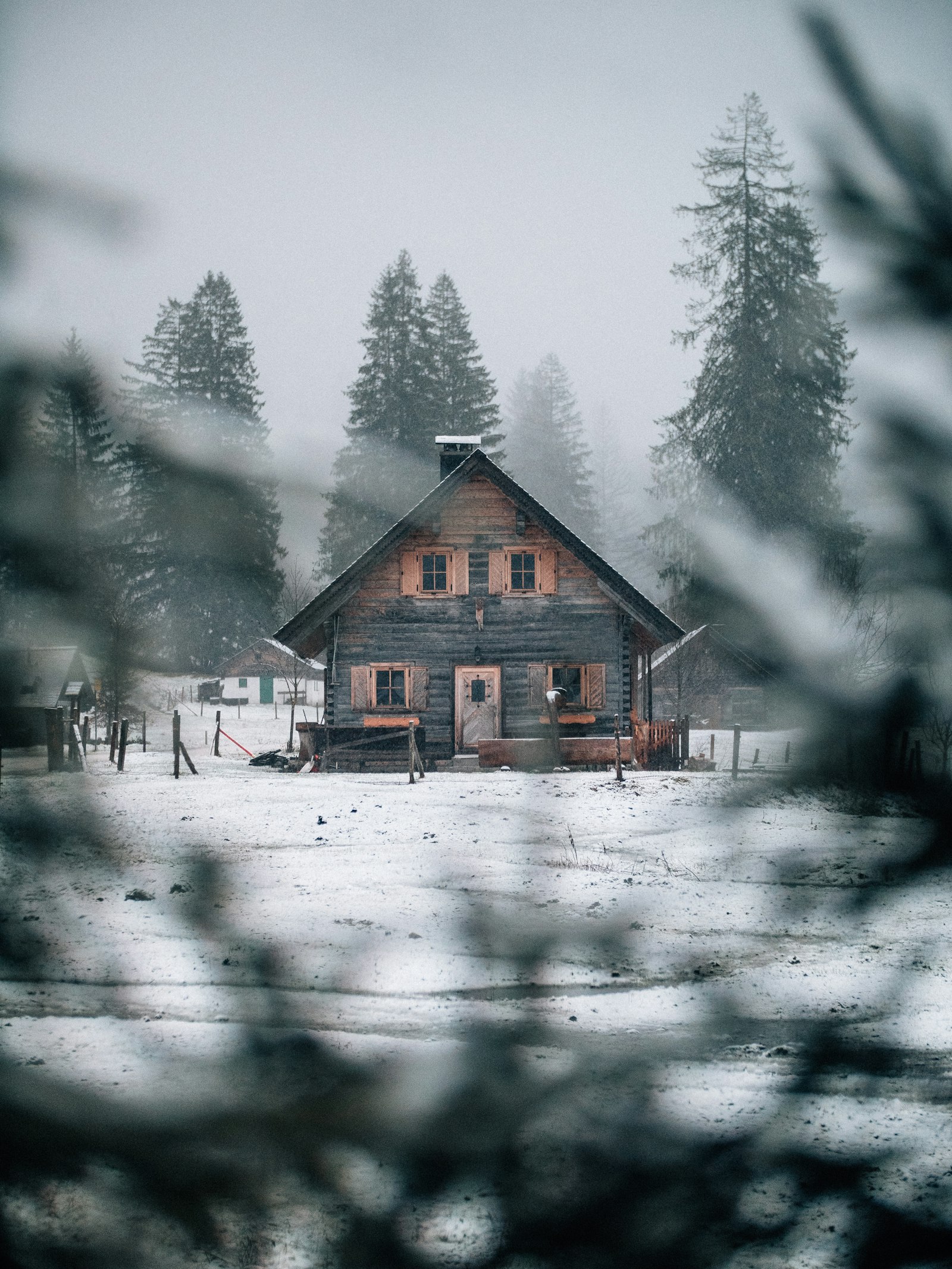 .7x 50-100mm F1.8 DC HSM | Art 0 sample photo. Brown cabin house photography