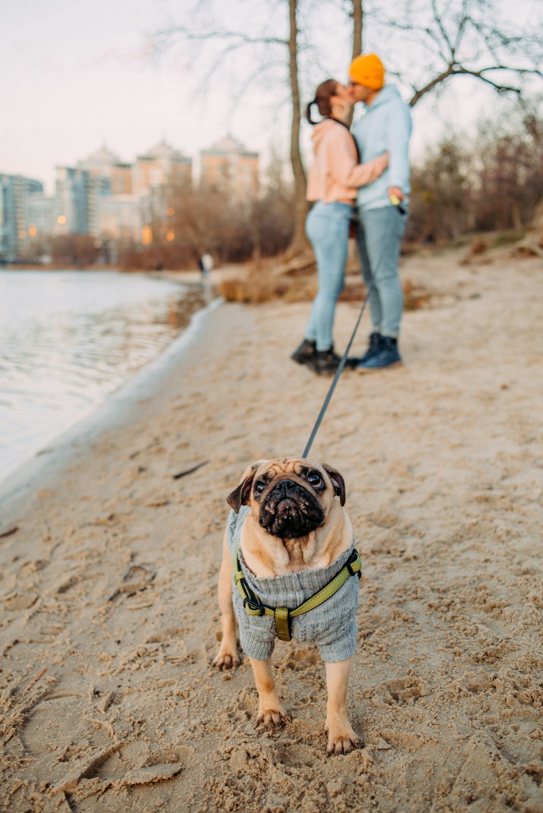 man and woman standing while kissing on lips near pawn pug