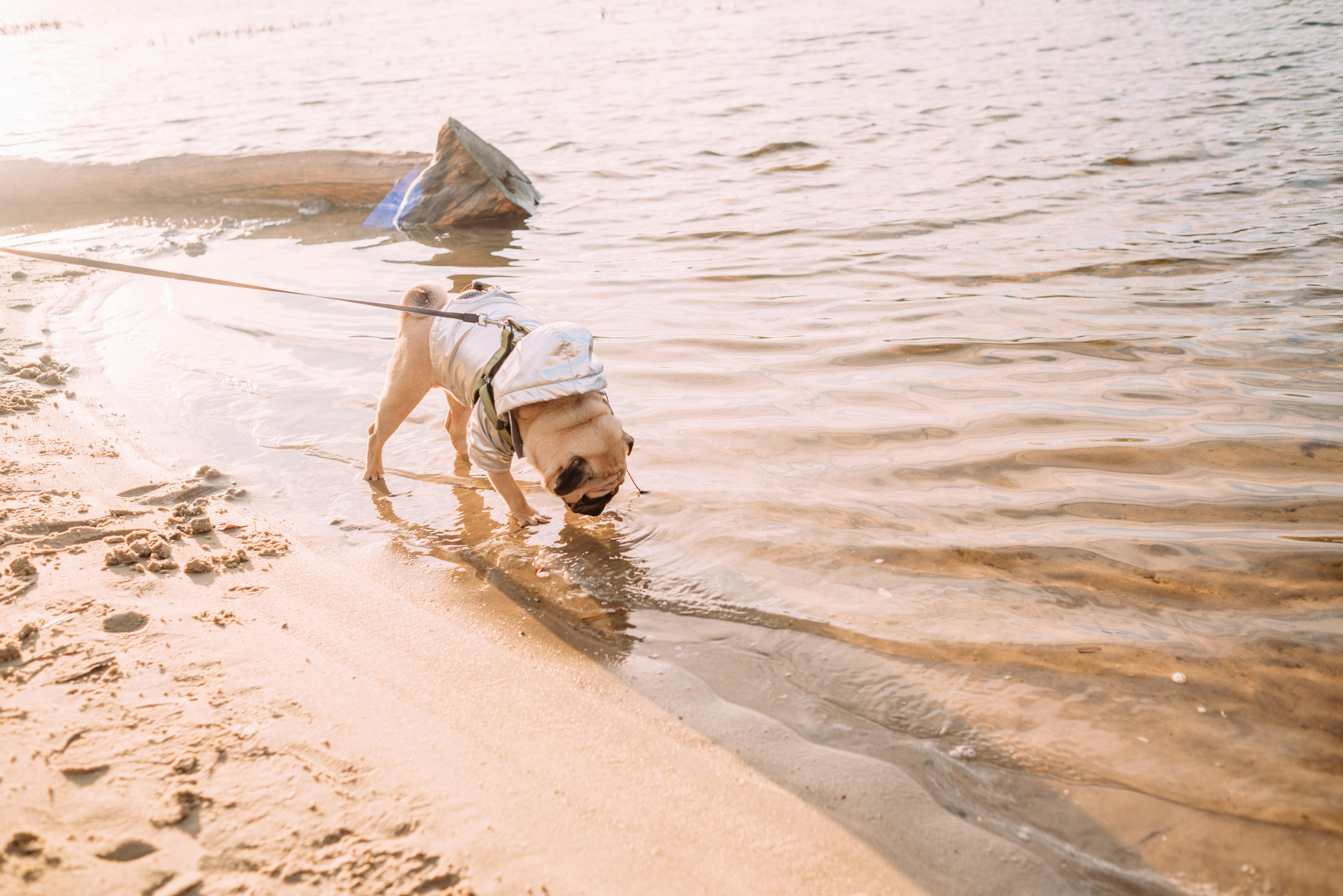 Photo by eugenivy_now