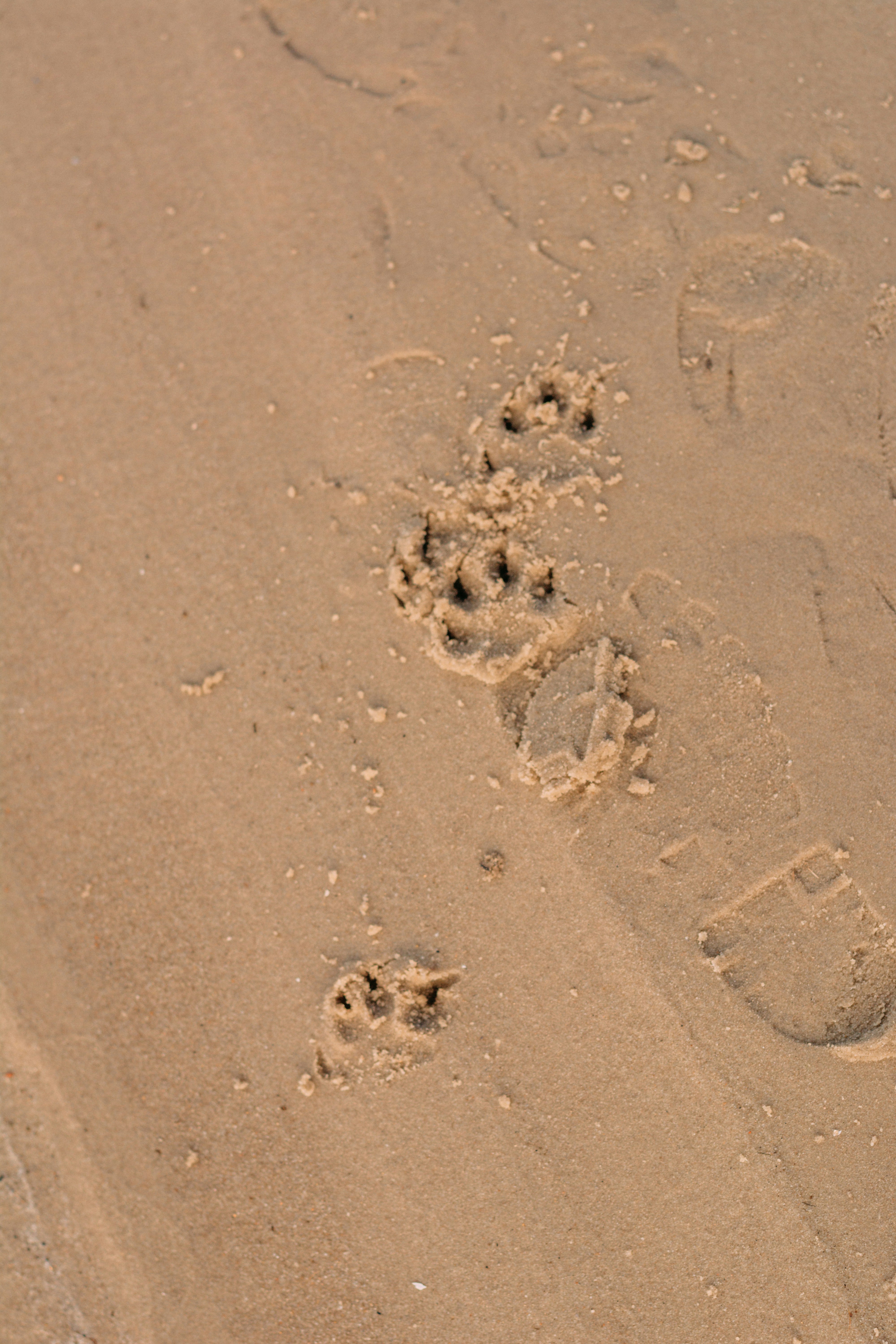 Photo by eugenivy_now