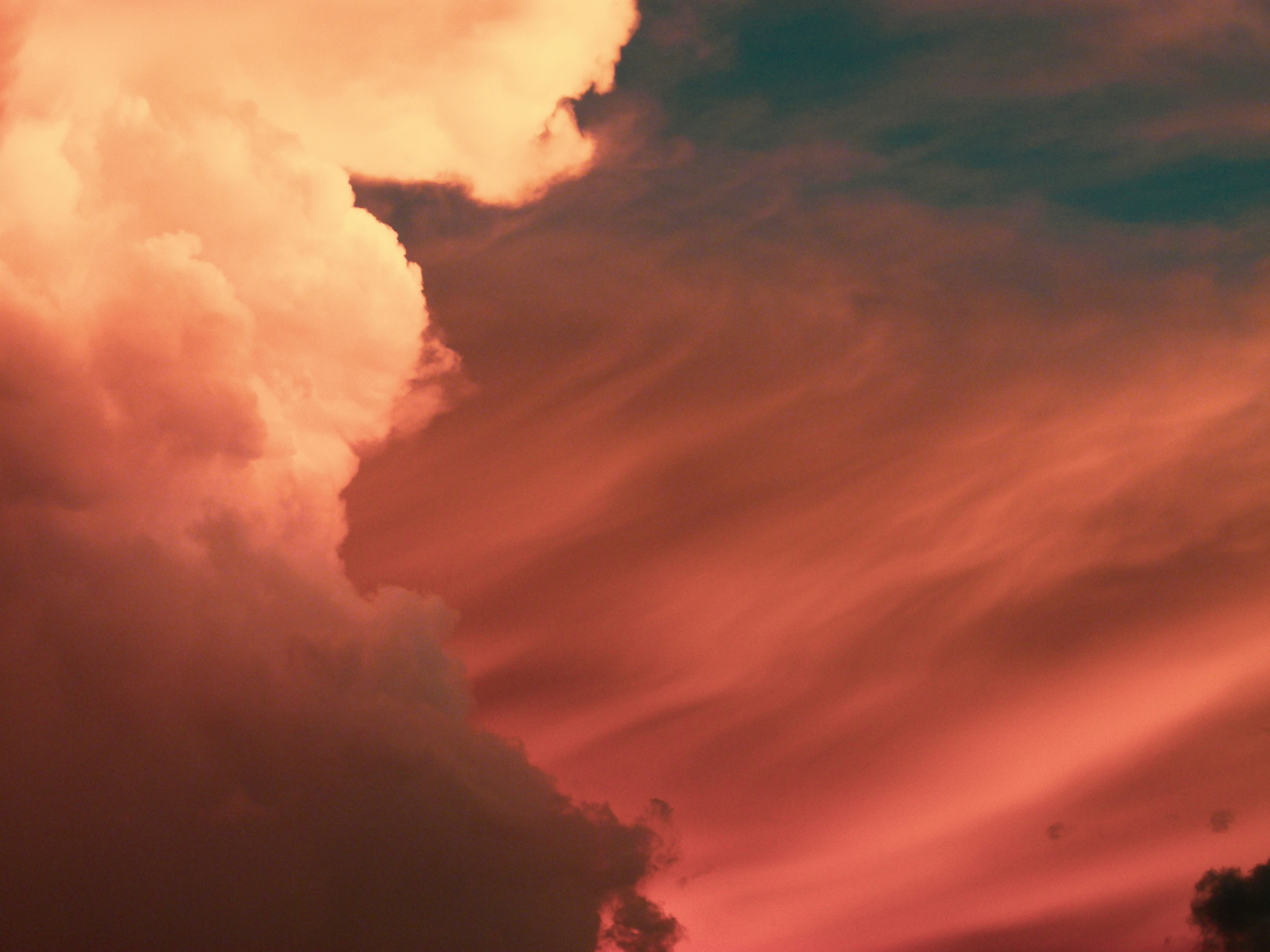 Photo by luizagiannelli