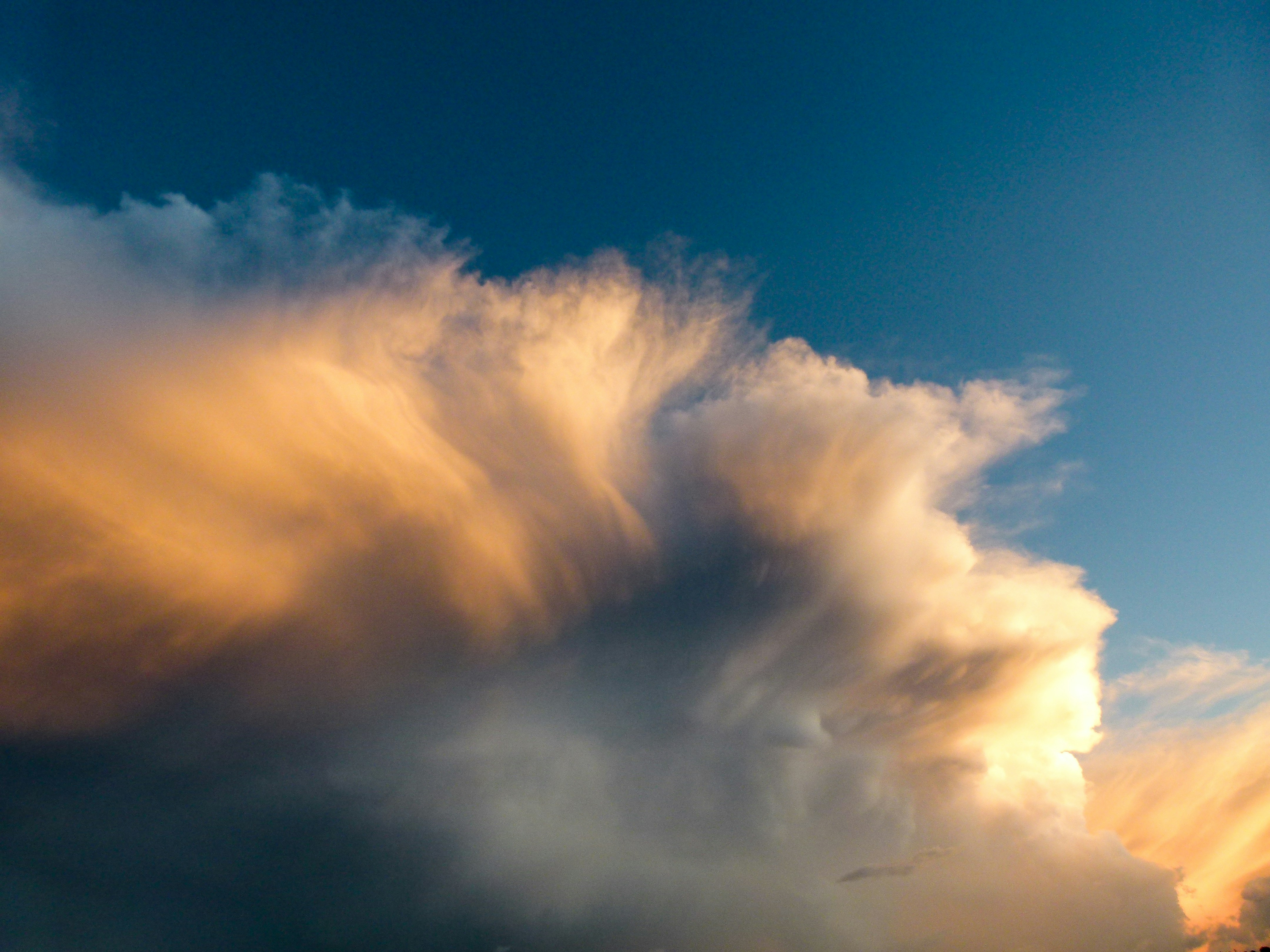 Photo by luizagiannelli