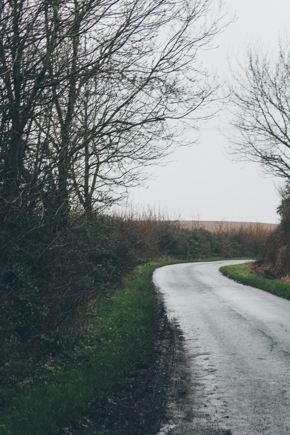 bare tree near road under cloudy sky