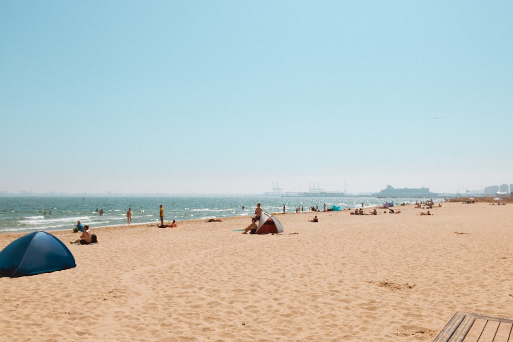 people on seashore during daytime