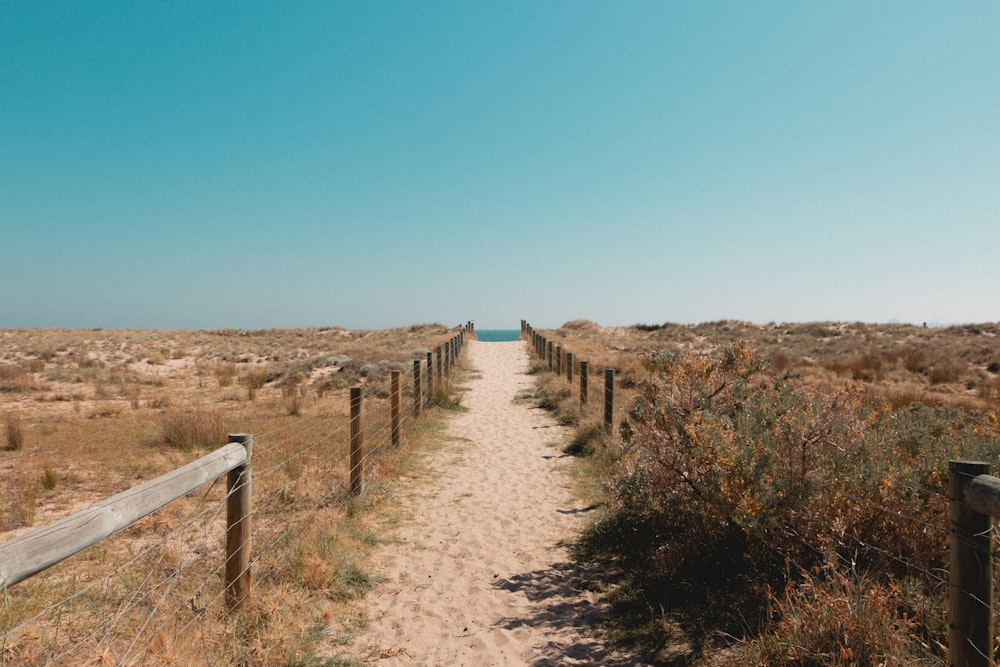 grass field and sand road with fences on island during day