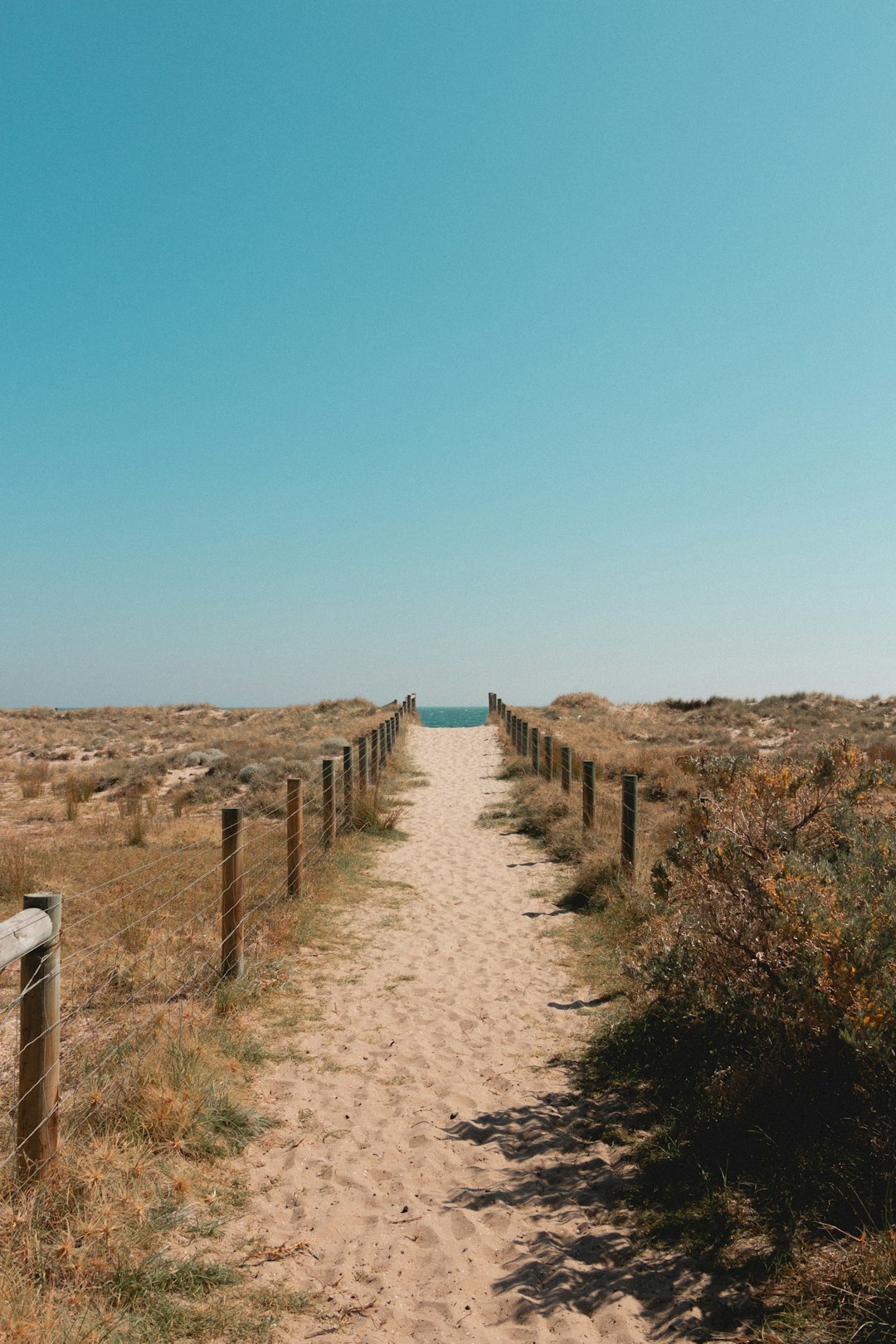 Ecoregion photo spot Port Melbourne Beach Australia