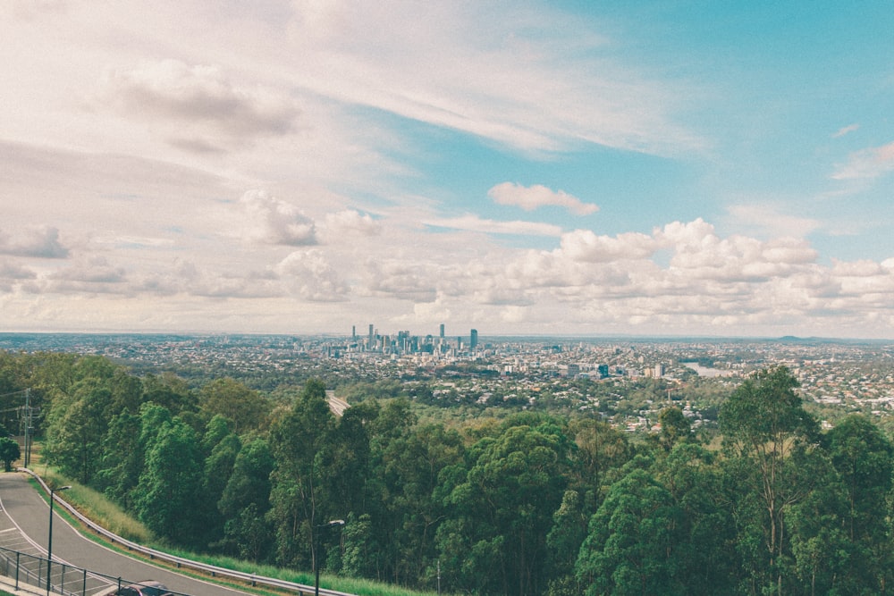 green trees near city