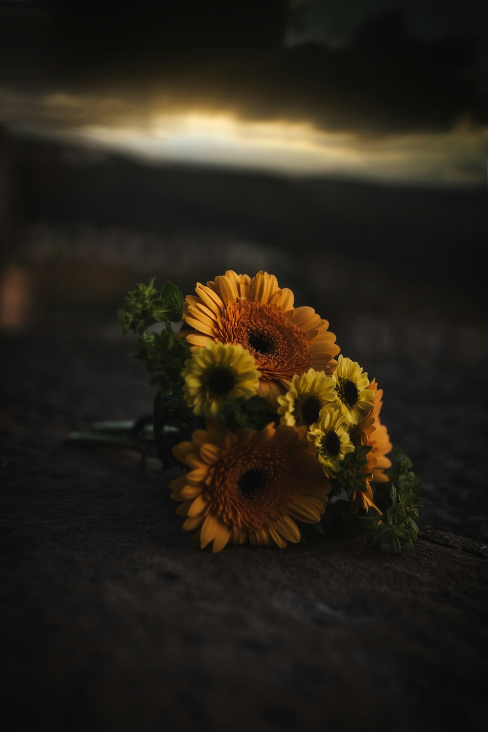 shallow focus photo of yellow flowers