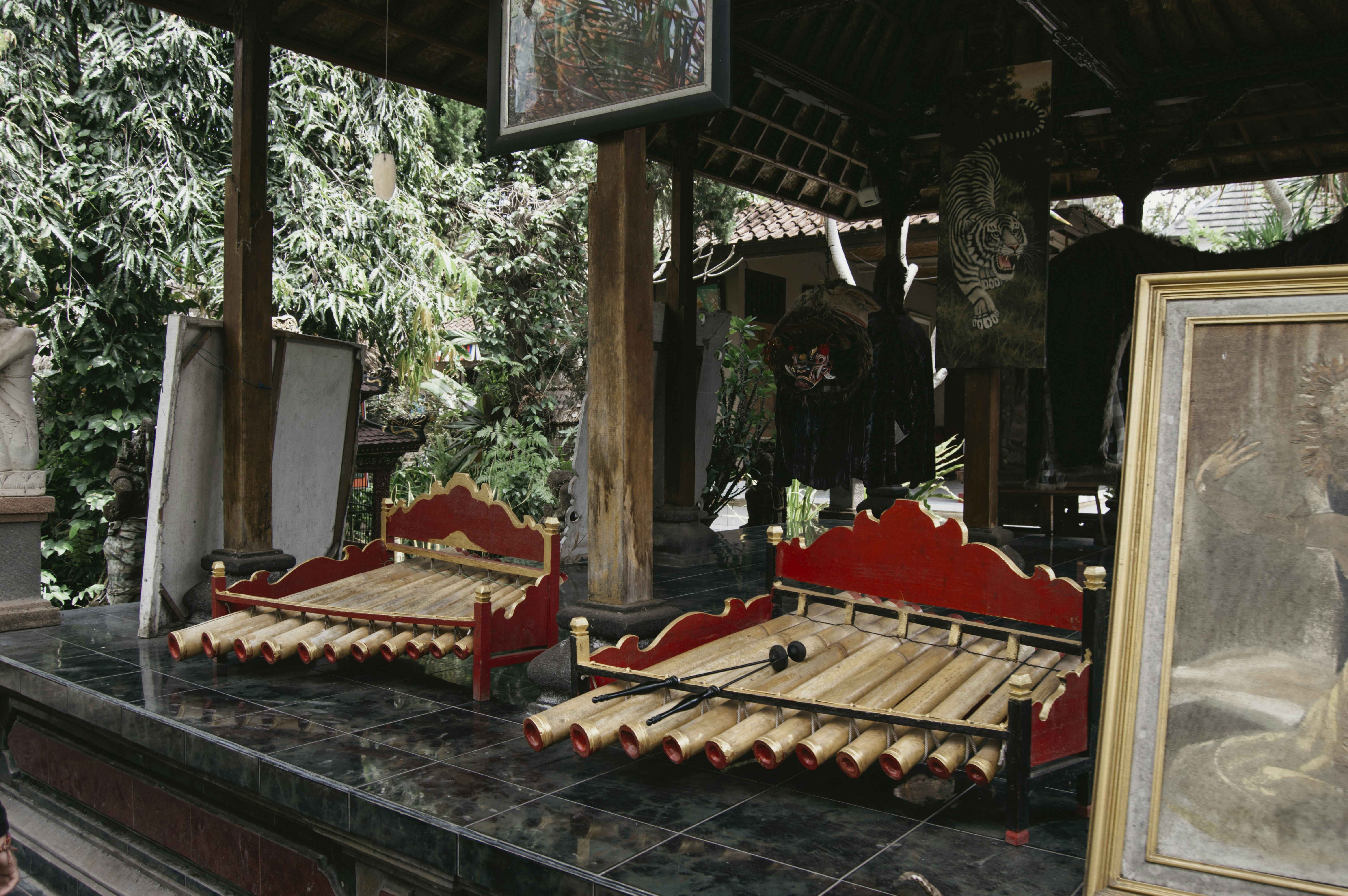 brown and red wind instruments