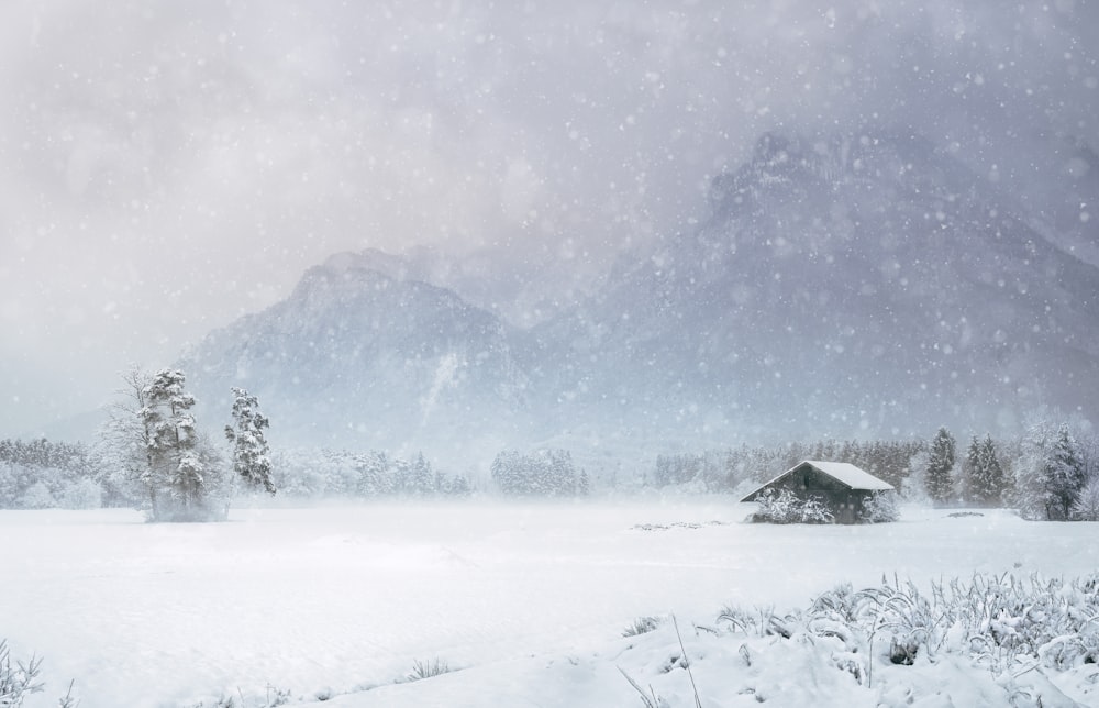 
huis bedekt met sneeuw in de buurt van de berg