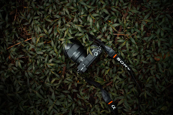 Sony mirrorless camera