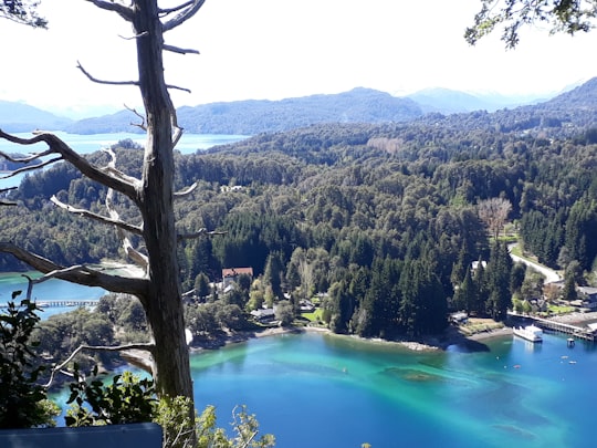 Parque Nacional Los Arrayanes things to do in San Carlos de Bariloche