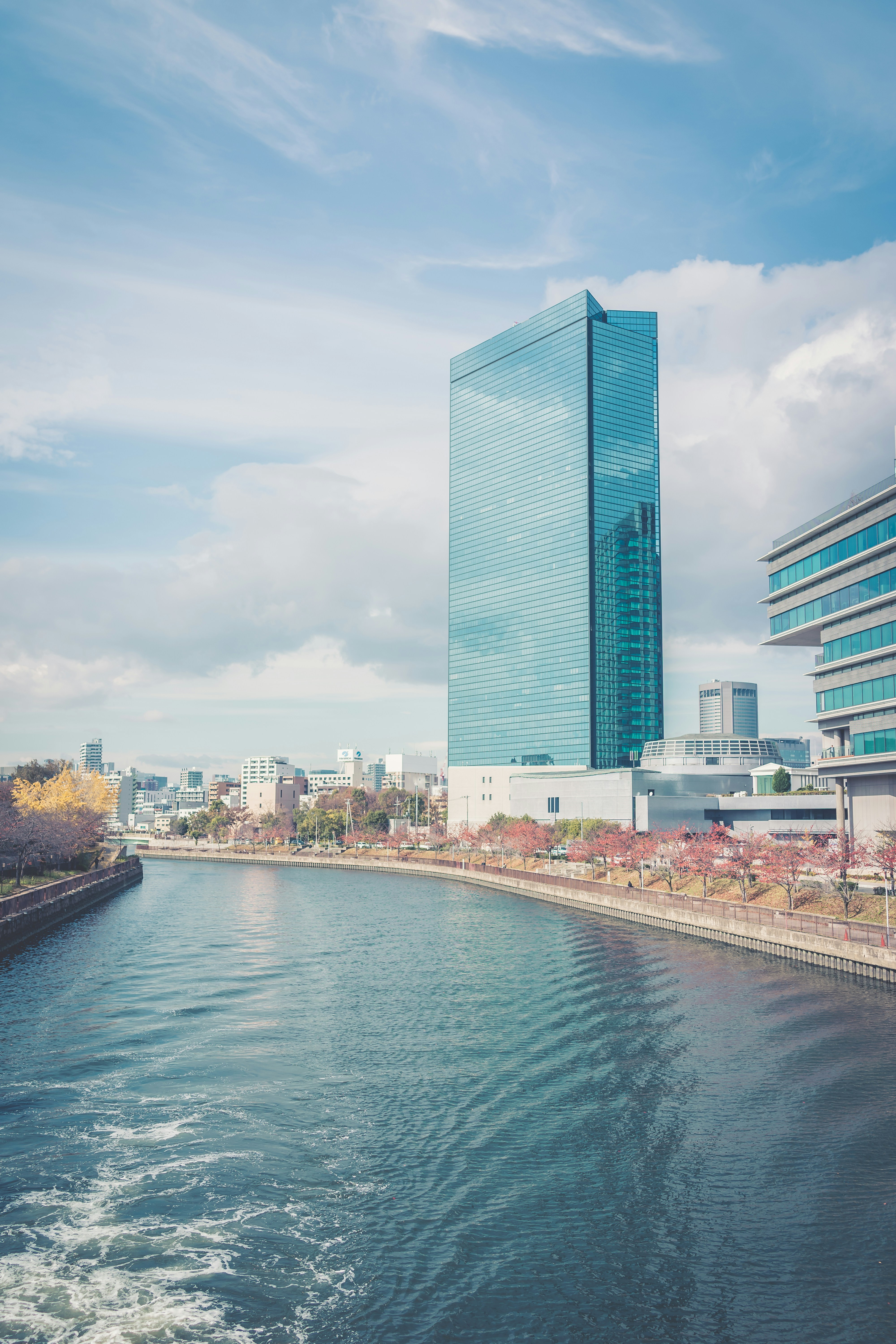 Photo by mocking_bird