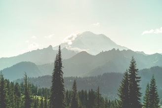 Mount Rainier in Mount Rainier National Park in the Summer in Washington State