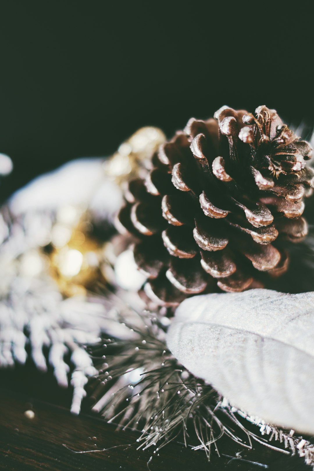 brown pine cone