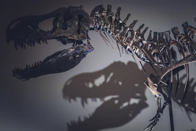 Prehistoric Prestige: Why Billionaires Are Turning Extinct Giants Into Exclusive Status Symbols