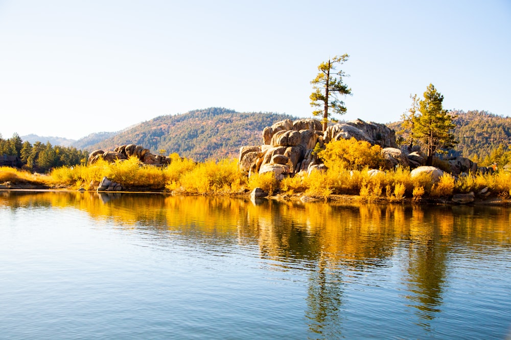 rocks, grass, and trees on island during day