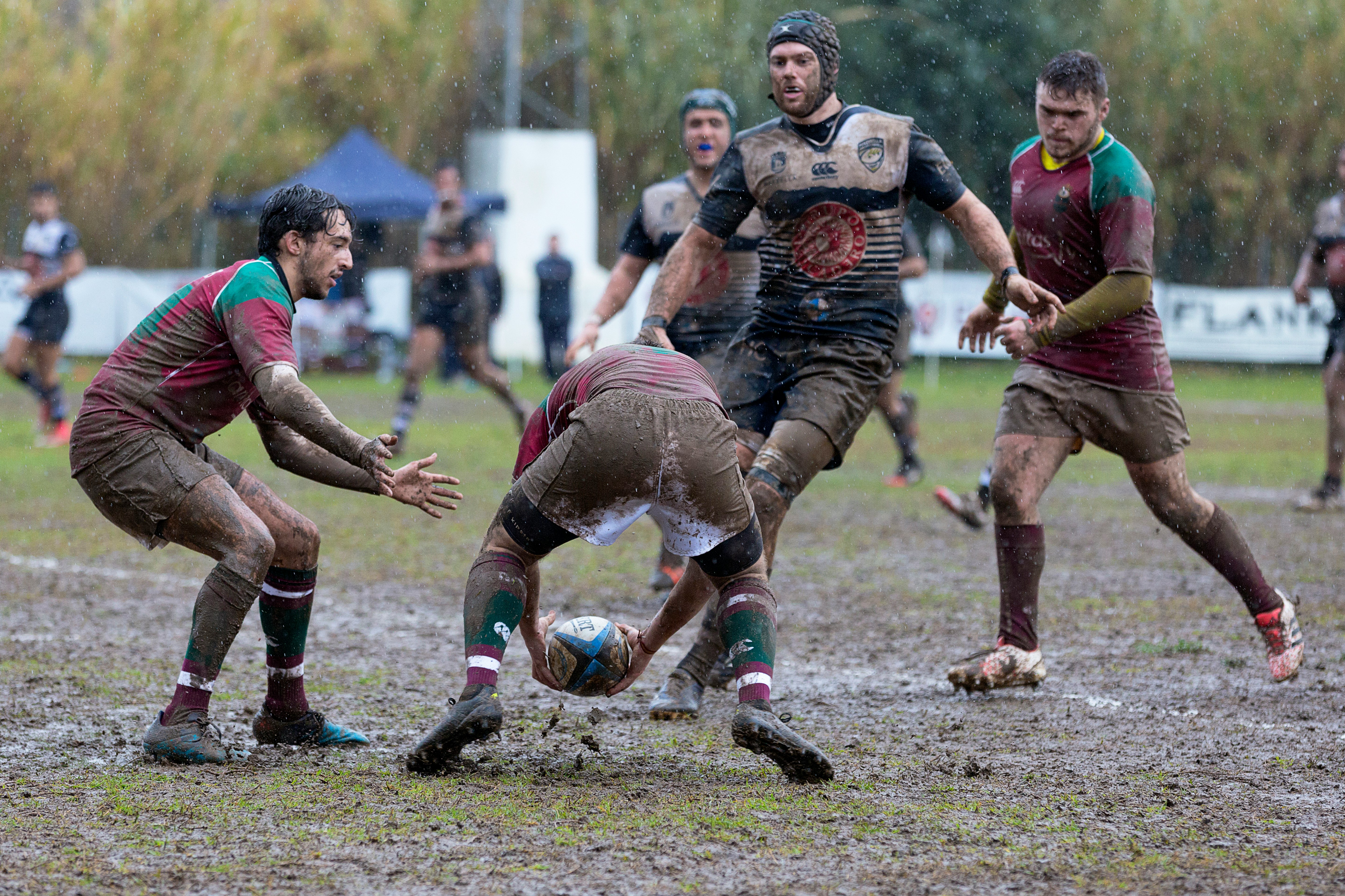 men playing rugby on field