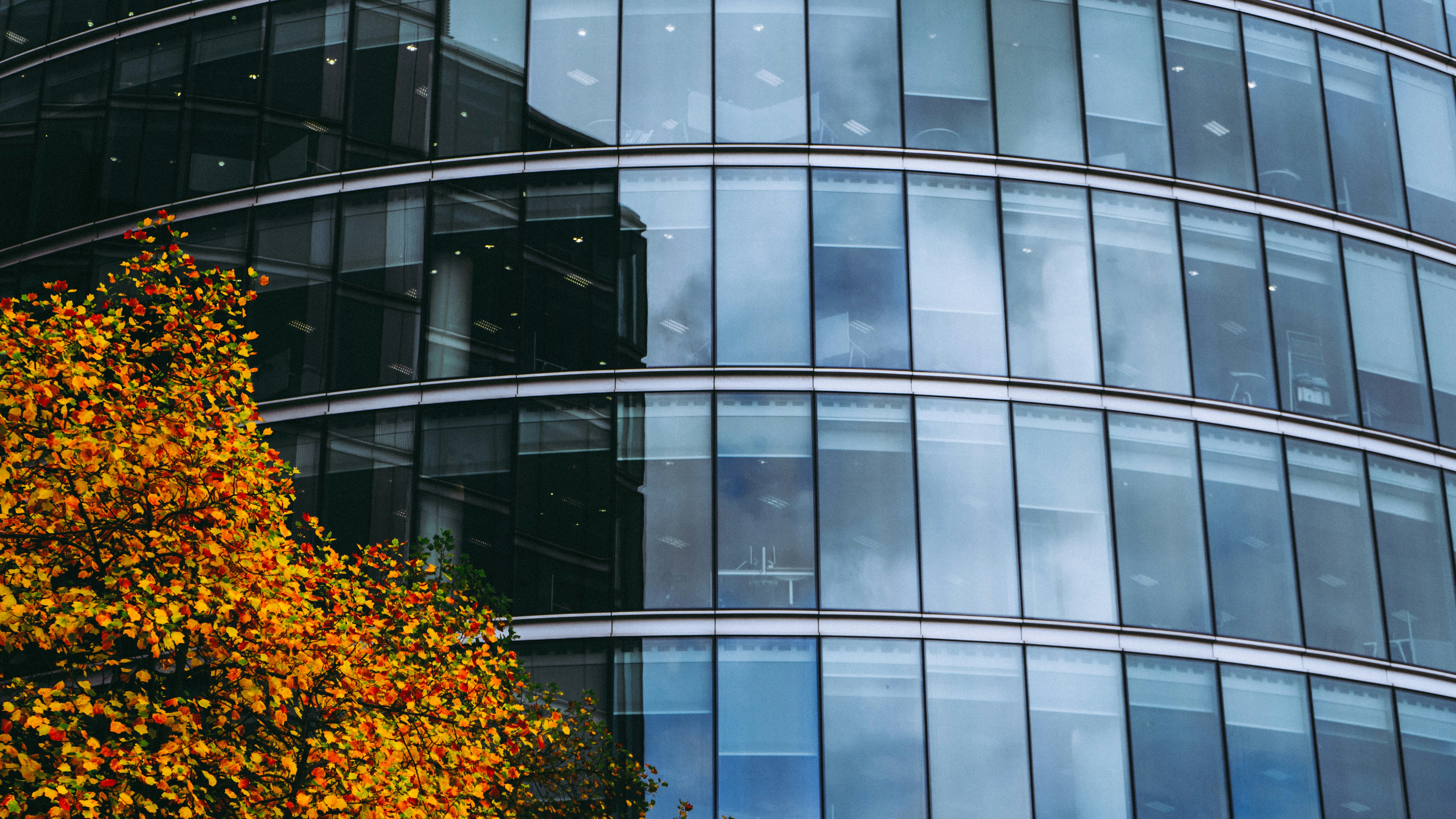 Photo by virussinside