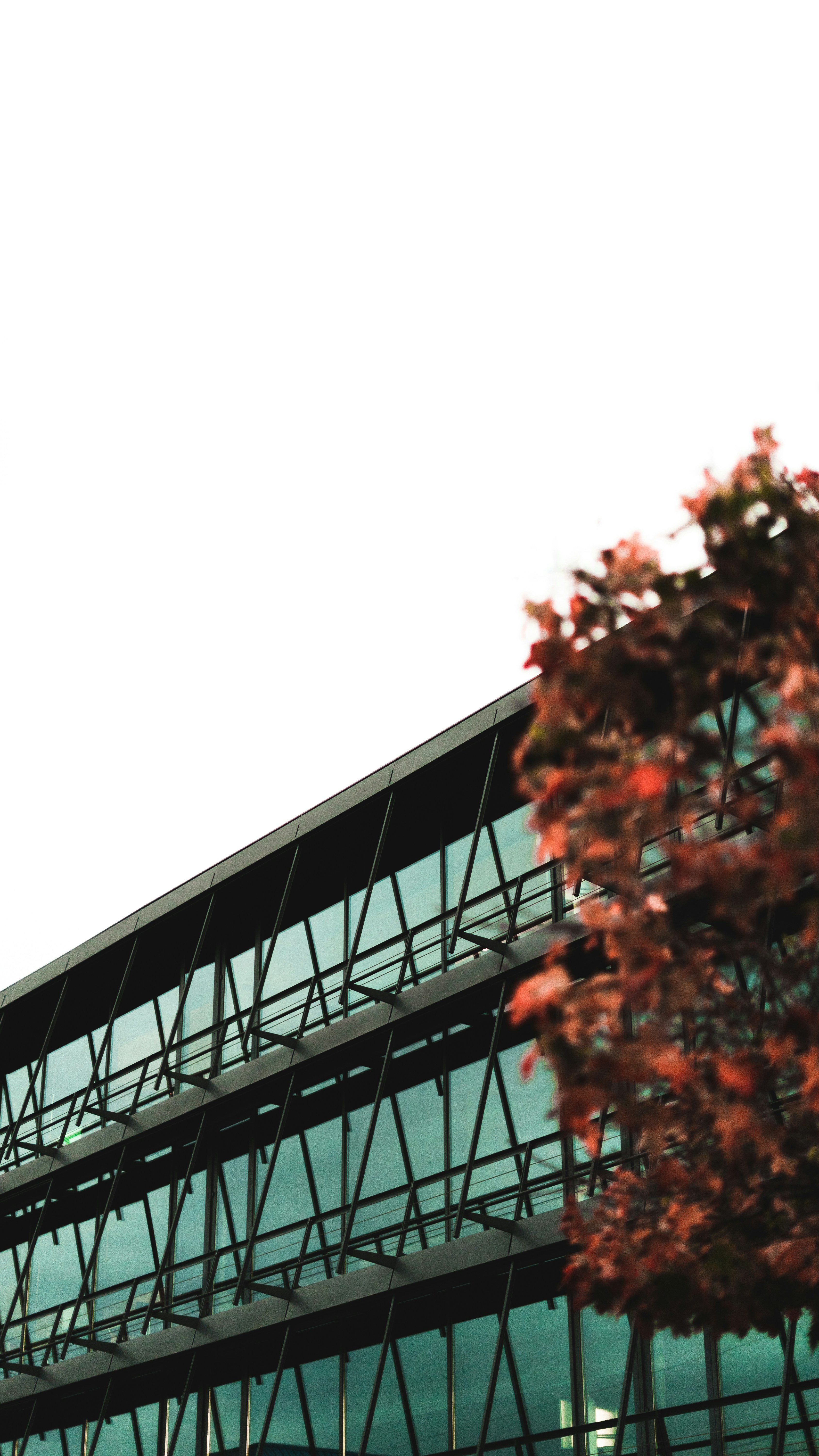 Photo by virussinside