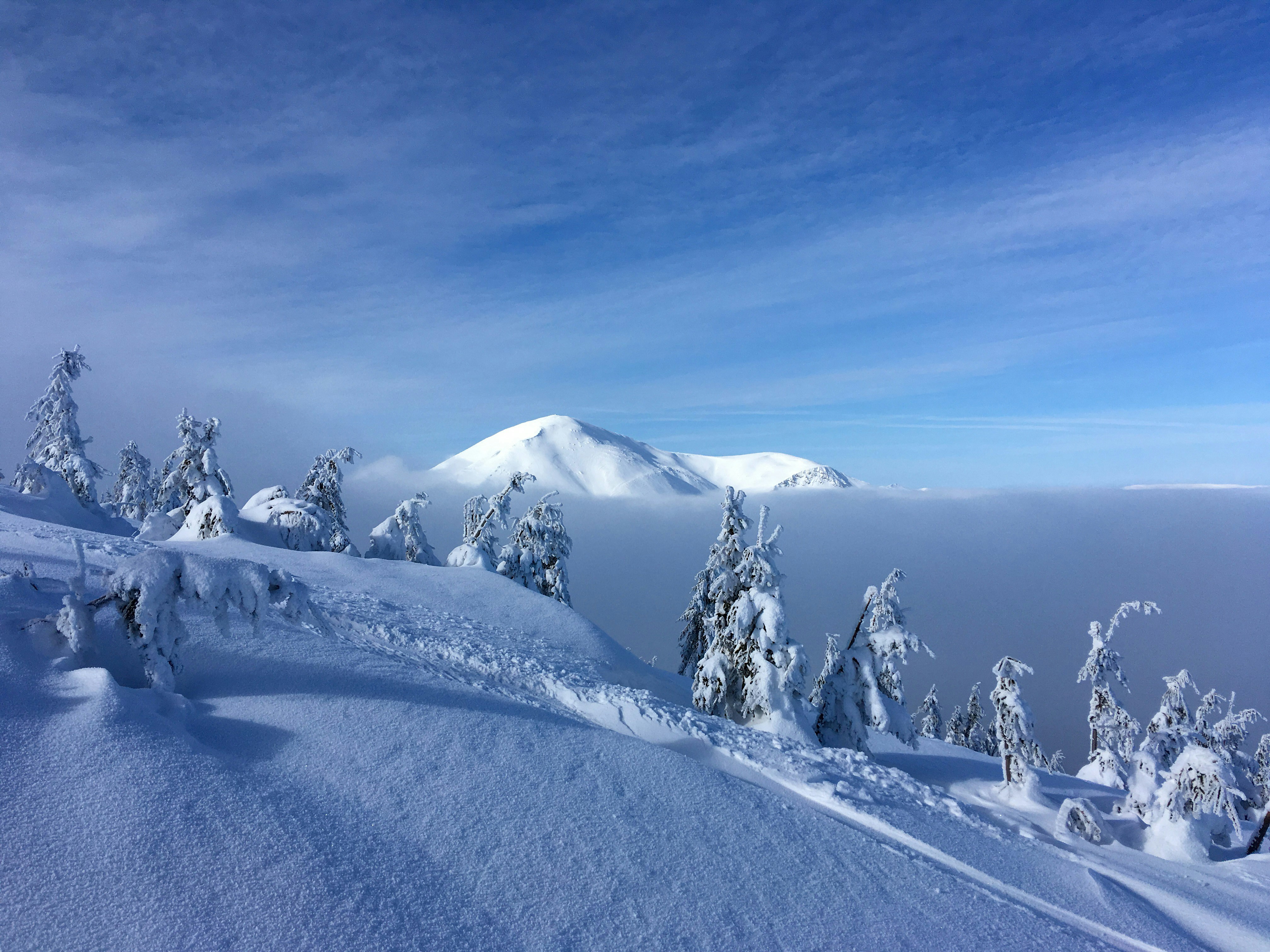 Photo by bear_lissimo