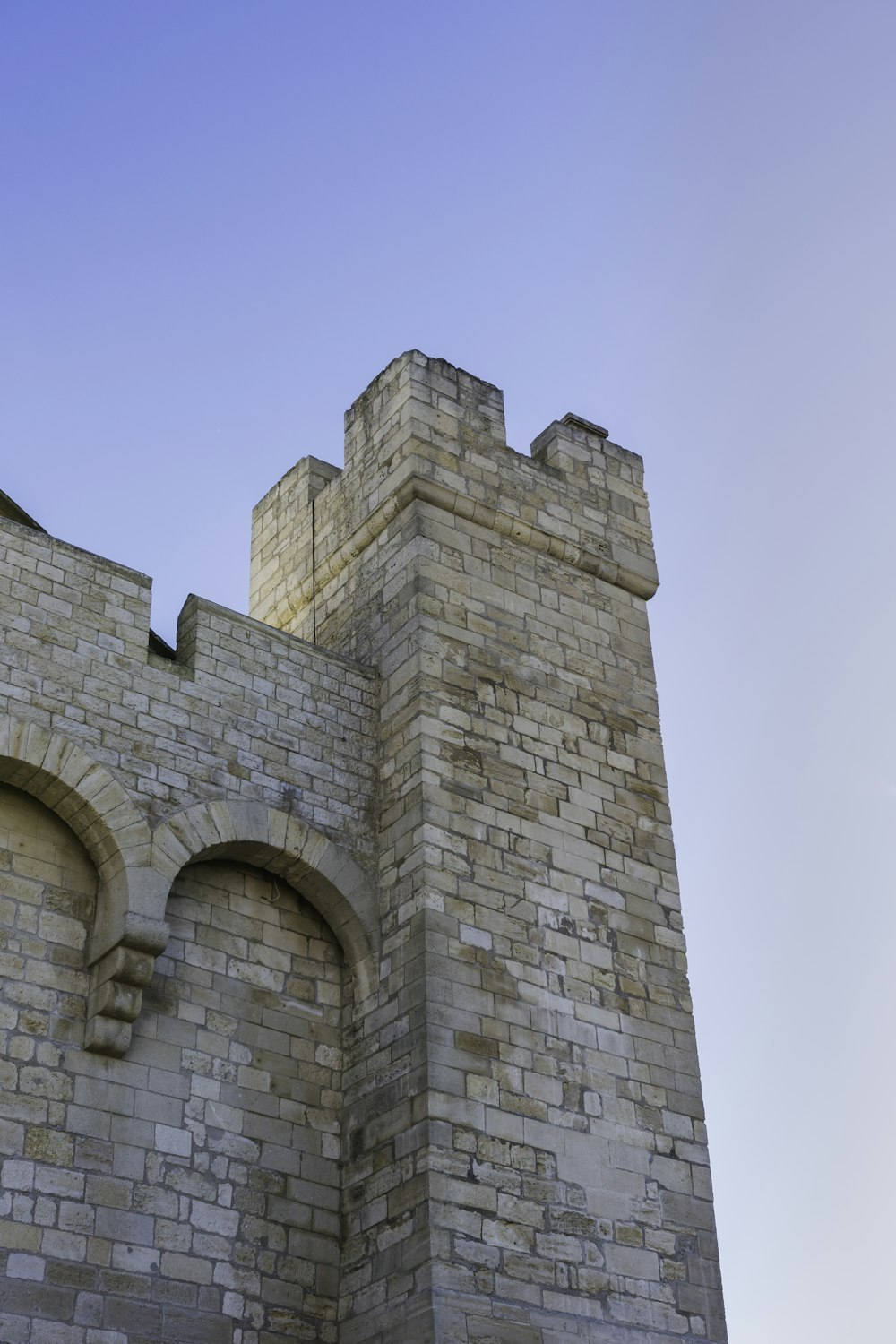 close-up photography of brown building during daytime