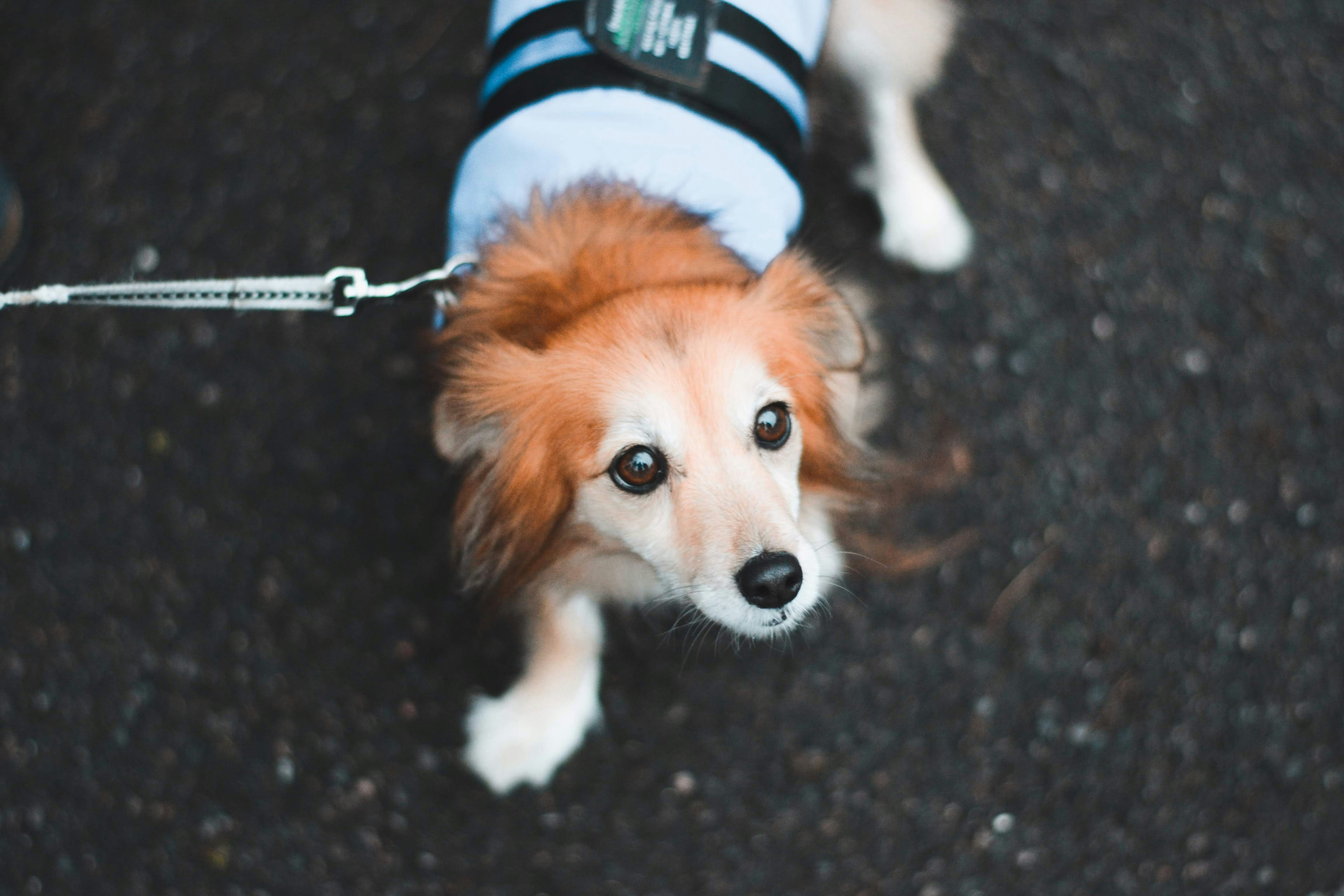 Photo by italic
