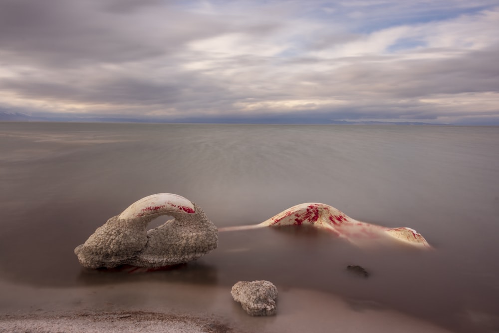 calm body of water