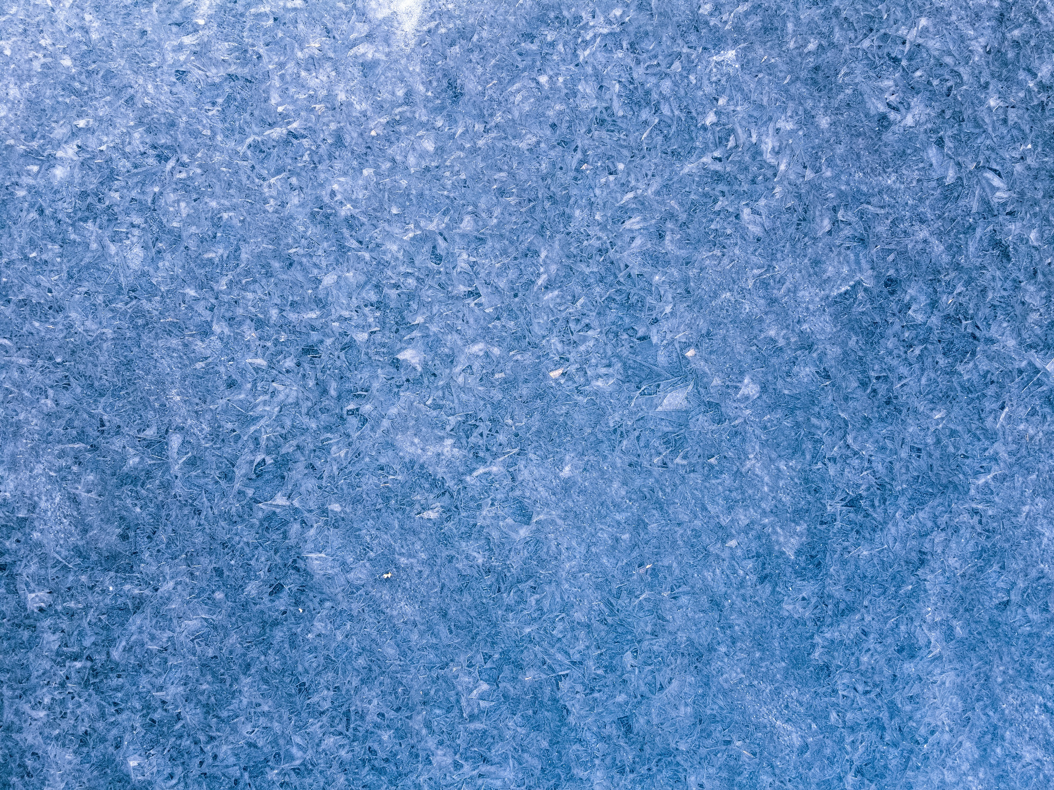 Photo by aaronburden