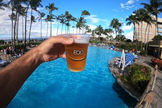 person holding cup with beer