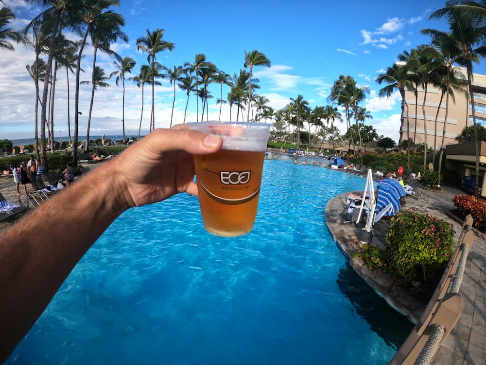 person holding cup with beer