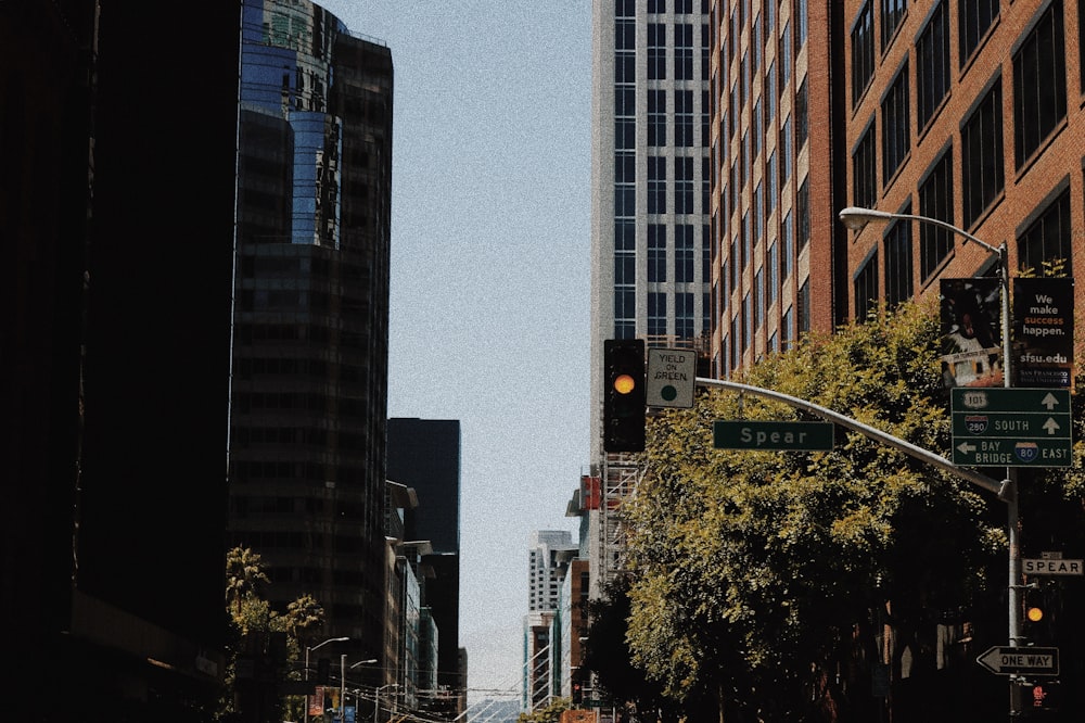 shallow focus photo of traffic lights
