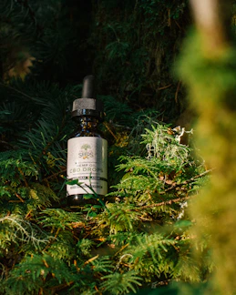 Close-up of a sleek hemp oil dropper bottle with golden liquid inside, set against a soft, glowing background.