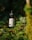 A bottle of hemp oil CBD drops rests amidst lush green foliage, illuminated by natural sunlight. The label features a logo with text and the bottle is fitted with a black dropper cap.