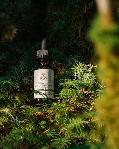 A bottle of hemp oil CBD drops rests amidst lush green foliage, illuminated by natural sunlight. The label features a logo with text and the bottle is fitted with a black dropper cap.